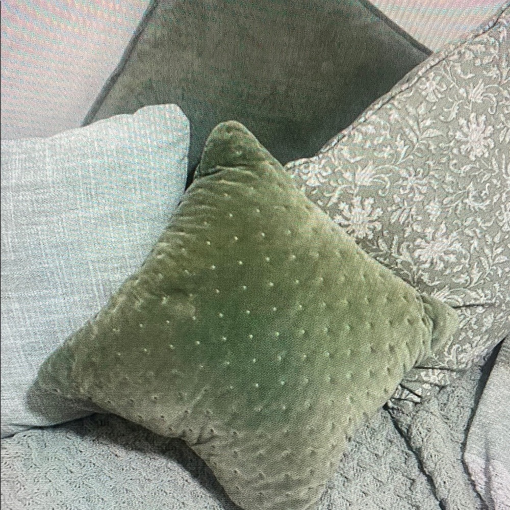 Set of 4 Green Decorative Throw Pillows